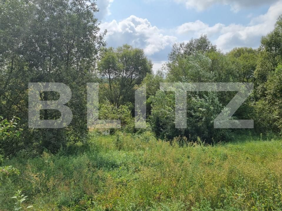Teren de vânzare Hălchiu - 156625TV | BLITZ Brașov | Poza4
