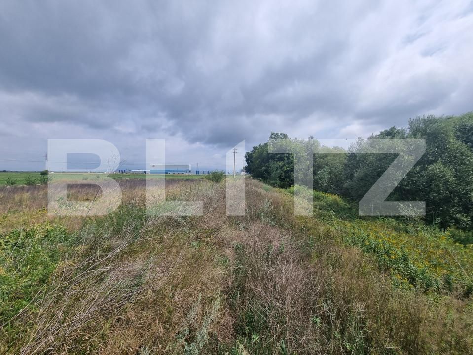 Teren de vânzare Hălchiu - 156625TV | BLITZ Brașov | Poza3