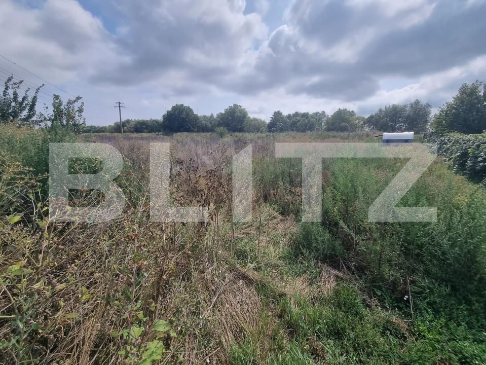 Teren de vânzare Hălchiu - 156625TV | BLITZ Brașov | Poza5