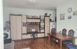 Apartament 2 camere, zona Penny
