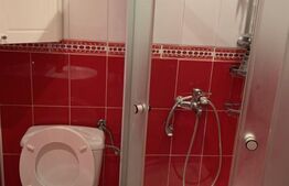 Casa 7 camere, prima inchiriere, 240mp, locuit/spatiu birouri, Piata 14 Iulie