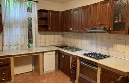 Casa 7 camere, prima inchiriere, 240mp, locuit/spatiu birouri, Piata 14 Iulie