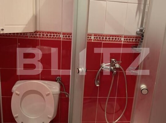 Casa de închiriat 7 camere Grigorescu - 156665CI | BLITZ Cluj-Napoca | Poza20