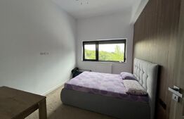 Casa individuala cu piscina | Lux | cartier Manastur 