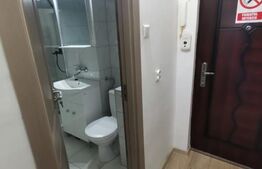 Garsoniera, 32 mp, parter inalt, zona Minerva, Petfriendly