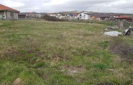 Teren intravilan 876 metri patrati in Chinteni