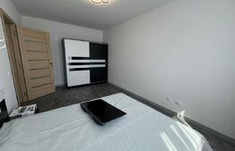 Apartament 2 camere, 50 mp, prima inchiriere, gradina, zona Cetatii 