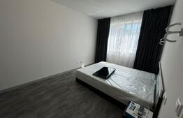 Apartament 2 camere, 50 mp, prima inchiriere, gradina, zona Cetatii 