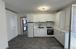 Apartament 2 camere, 50 mp, prima inchiriere, gradina, zona Cetatii 