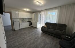 Apartament 2 camere, 50 mp, prima inchiriere, gradina, zona Cetatii 