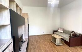 Apartament decomandat, 40 mp, pet friendly, parcare, zona Fac. de Litere