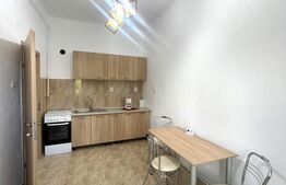 Apartament decomandat, 40 mp, pet friendly, parcare, zona Fac. de Litere