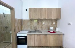 Apartament decomandat, 40 mp, pet friendly, parcare, zona Fac. de Litere