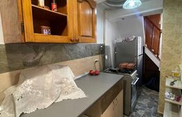 Apartament 3 camere, 75 mp, terasa, pet friendly, zona Traian