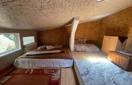 Apartament 3 camere, 75 mp, terasa, pet friendly, zona Traian