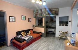 Apartament 3 camere, 75 mp, terasa, pet friendly, zona Traian