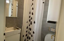 Apartament, 3 camere,  100mp, zona centrala