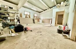 2 Hale, 1335mp, 175mp, 15 parcari, zona Petrom/ Dambul Rotund