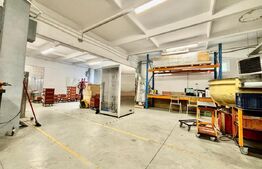 2 Hale, 1335mp, 175mp, 15 parcari, zona Petrom/ Dambul Rotund