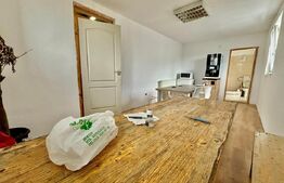 2 Hale, 1335mp, 175mp, 15 parcari, zona Petrom/ Dambul Rotund