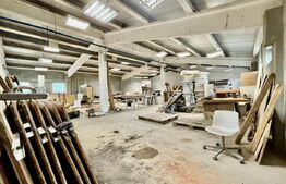 2 Hale, 1335mp, 175mp, 15 parcari, zona Petrom/ Dambul Rotund