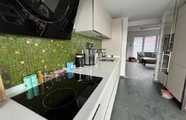 Penthouse LUX, 155mp, cartier Buna Ziua