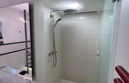 Penthouse LUX, 155mp, cartier Buna Ziua