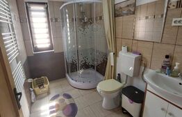 Casă pe structură din lemn, 117.66mp pe 475 mp teren, zona Borhanci