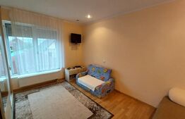 Casă 5 camere, 139 mp, cu 1487 mp teren, Dâmbul Rotund