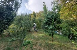 Casă 5 camere, 139 mp, cu 1487 mp teren, Dâmbul Rotund