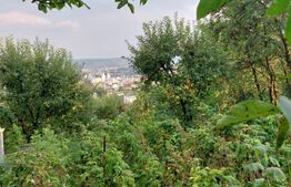 Casă 5 camere, 139 mp, cu 1487 mp teren, Dâmbul Rotund