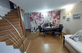 Casă 5 camere, 139 mp, cu 1487 mp teren, Dâmbul Rotund