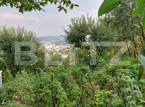 Casa de vânzare 5 camere Dambul Rotund - 156919CV | BLITZ Cluj-Napoca | Poza11