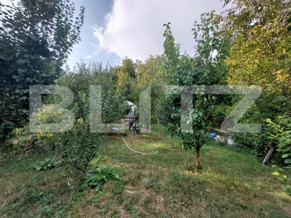 Casa de vânzare 5 camere Dambul Rotund - 156919CV | BLITZ Cluj-Napoca | Poza12