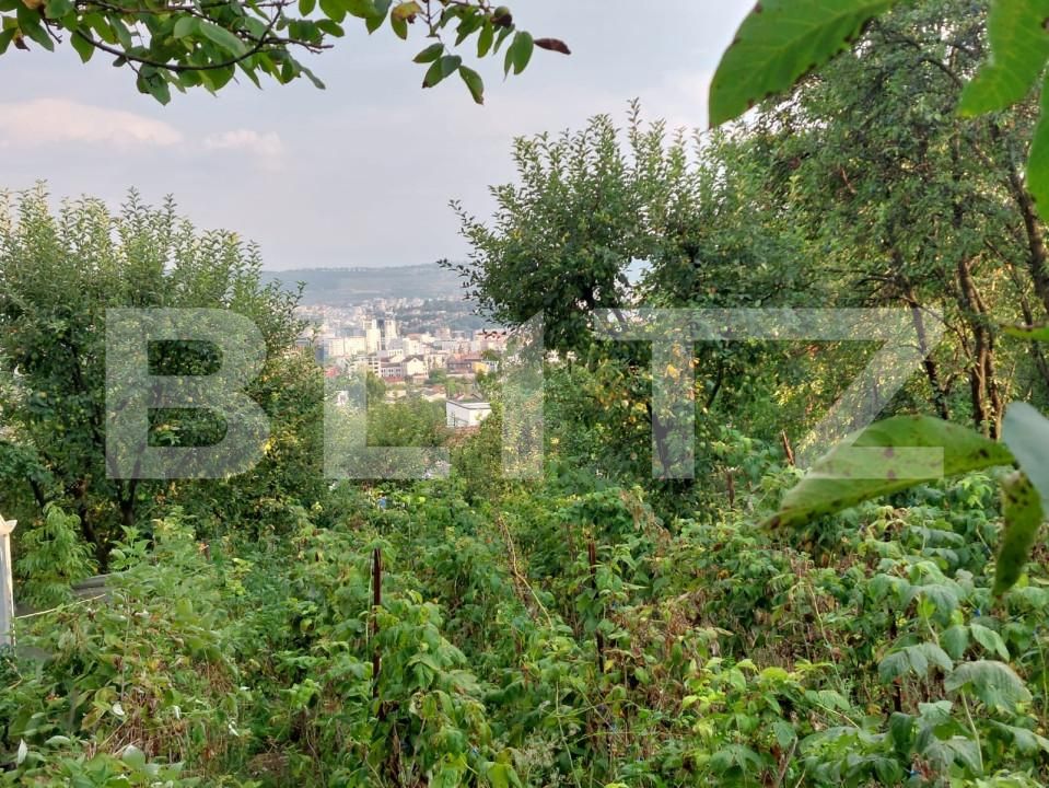 Casa de vânzare 5 camere Dambul Rotund - 156919CV | BLITZ Cluj-Napoca | Poza11