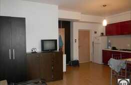 2 camere, 42 mp, imobil nou, mobilat modern, complex Flora Park, Calea Floresti