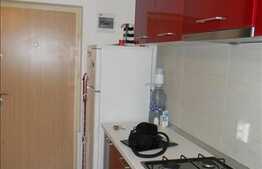 2 camere, 42 mp, imobil nou, mobilat modern, complex Flora Park, Calea Floresti