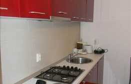 2 camere, 42 mp, imobil nou, mobilat modern, complex Flora Park, Calea Floresti