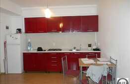 2 camere, 42 mp, imobil nou, mobilat modern, complex Flora Park, Calea Floresti