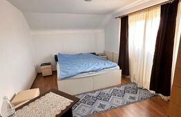 Proprietate unică în apropiere de Dej 