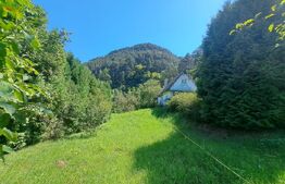 Teren intravilan, Centrul Vechi 