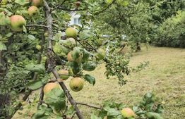 Teren intravilan, Centrul Vechi 