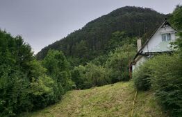 Teren intravilan, Centrul Vechi 