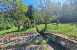 Teren intravilan, Centrul Vechi 