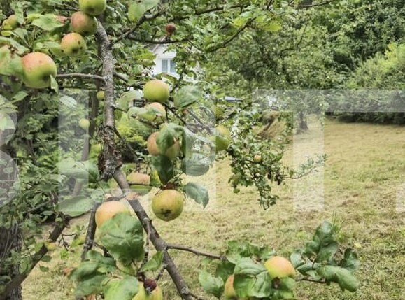 Teren de vânzare Schei - 157083TV | BLITZ Brașov | Poza5