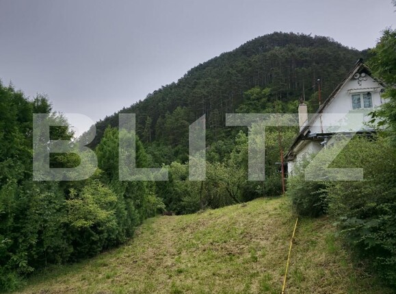 Teren de vânzare Schei - 157083TV | BLITZ Brașov | Poza7