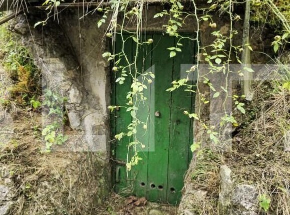 Teren de vânzare Schei - 157083TV | BLITZ Brașov | Poza6