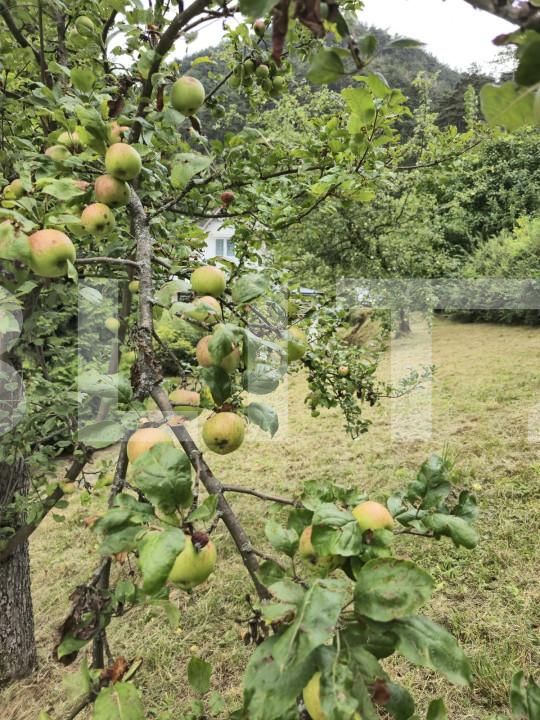 Teren de vânzare Schei - 157083TV | BLITZ Brașov | Poza5