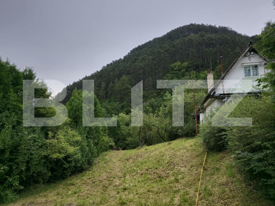 Teren de vânzare Schei - 157083TV | BLITZ Brașov | Poza7