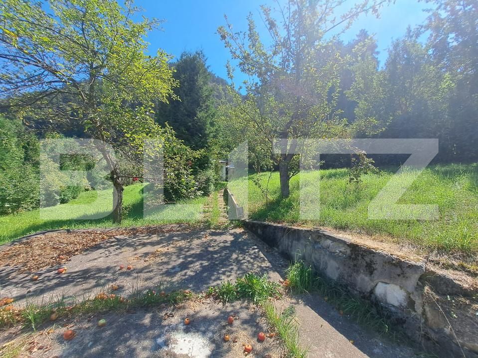 Teren de vânzare Schei - 157083TV | BLITZ Brașov | Poza3